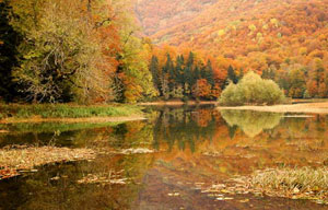 В центре находится его самое красивое украшение - Биоградское озеро