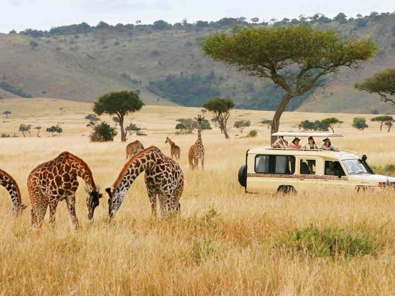 Travel to Kenya 